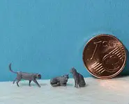 Chats (x3) - 1/54 -