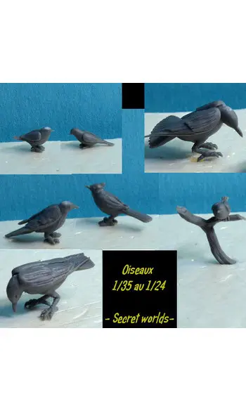 Oiseaux (x7) - 1/24