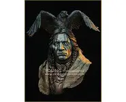 Raven Sorcerer - 1/10