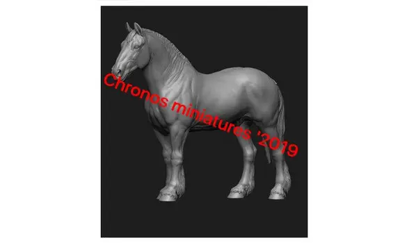 Horse n°12 -1/30
