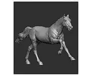 Horse n°19 - 1/30