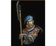 Scottish Highlander -1/10