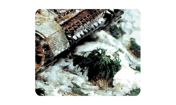 Environnement : neige