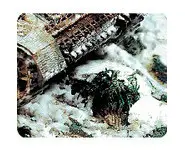 Environnement : neige