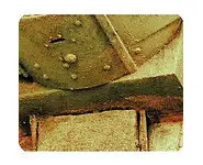 Environnement : Oxydation