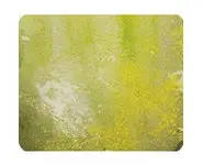 Environnement : salissure humide claire