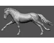 Horse n°22 - 1/30