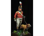 Major of 36th Regt of foot - 75 mm