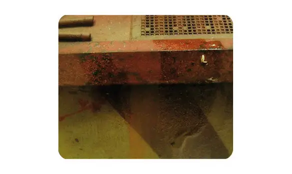 Environnement : pluie