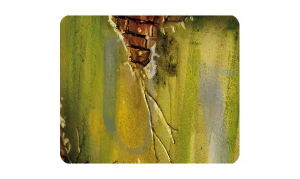 Environnement : Salissure humide foncée