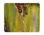 Environnement : Salissure humide foncée