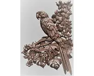 Perroquet - 1/2 rond