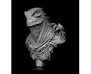 Amblyrhynchus - 1/12