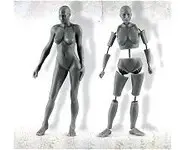 Anatomique femme - 75 mm