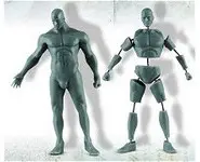 Anatomique homme - 75 mm