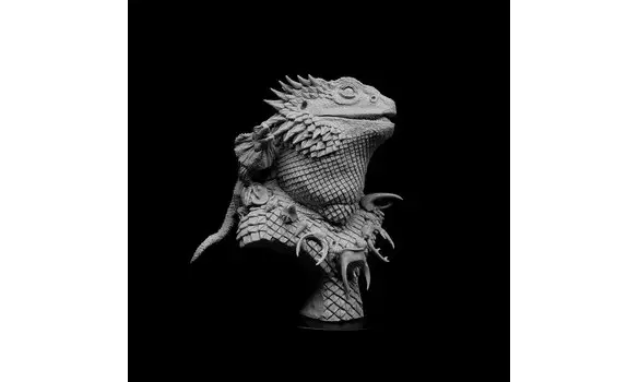 Pogona - 1/12