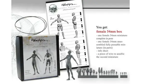 Anatomique femme 54 mm